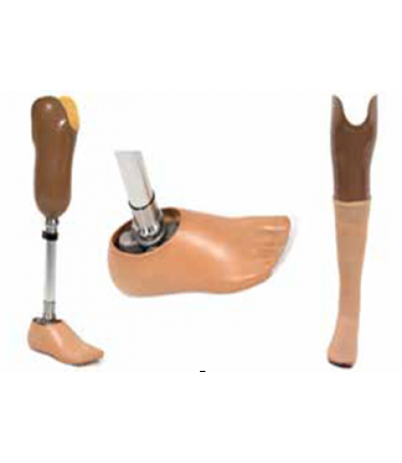 BASIC TT PROSTHESIS WITH SOFT LINER