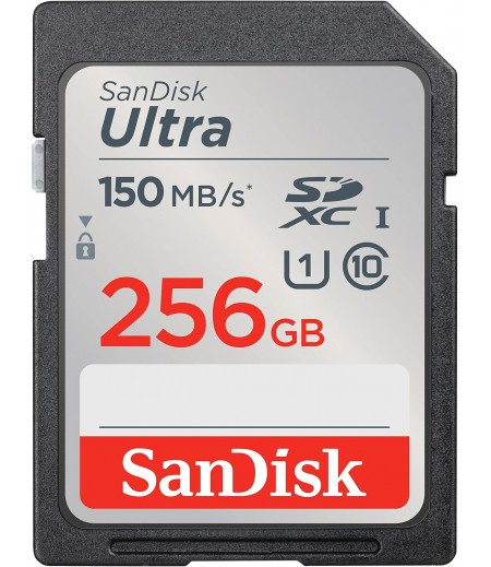 SanDisk SDSDUNC-256G-GN6IN