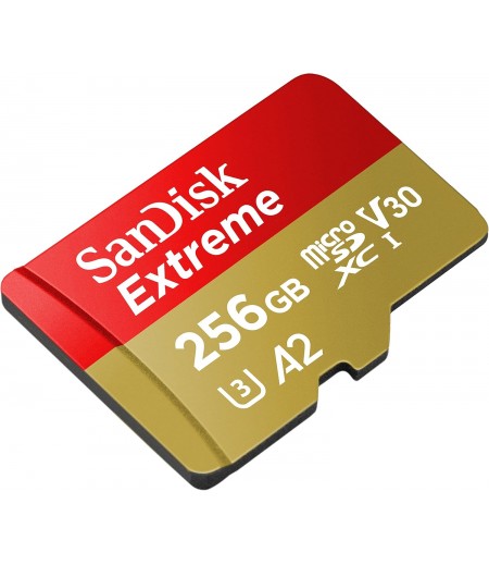 SANDISK SDSQXAV-256G-GN6MN