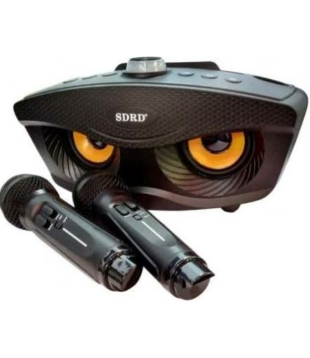 sdrd sd-306 karoke speaker